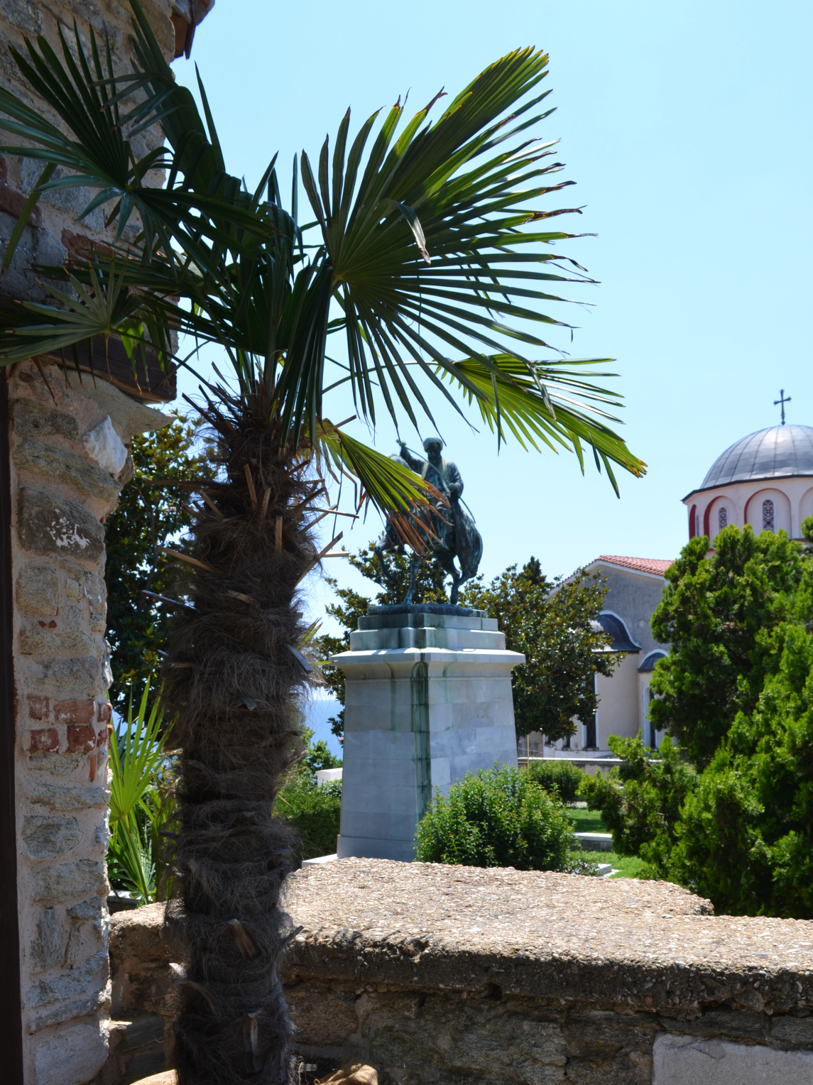 Palm Tree in the gardens of Mohammed Ali's House